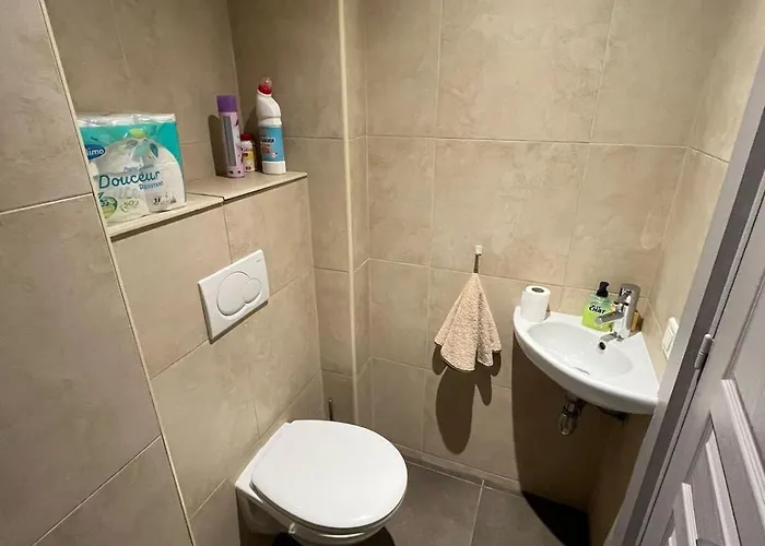 Apartament Dans Le Quartier Historique Du Suquet Ideal Congres Et